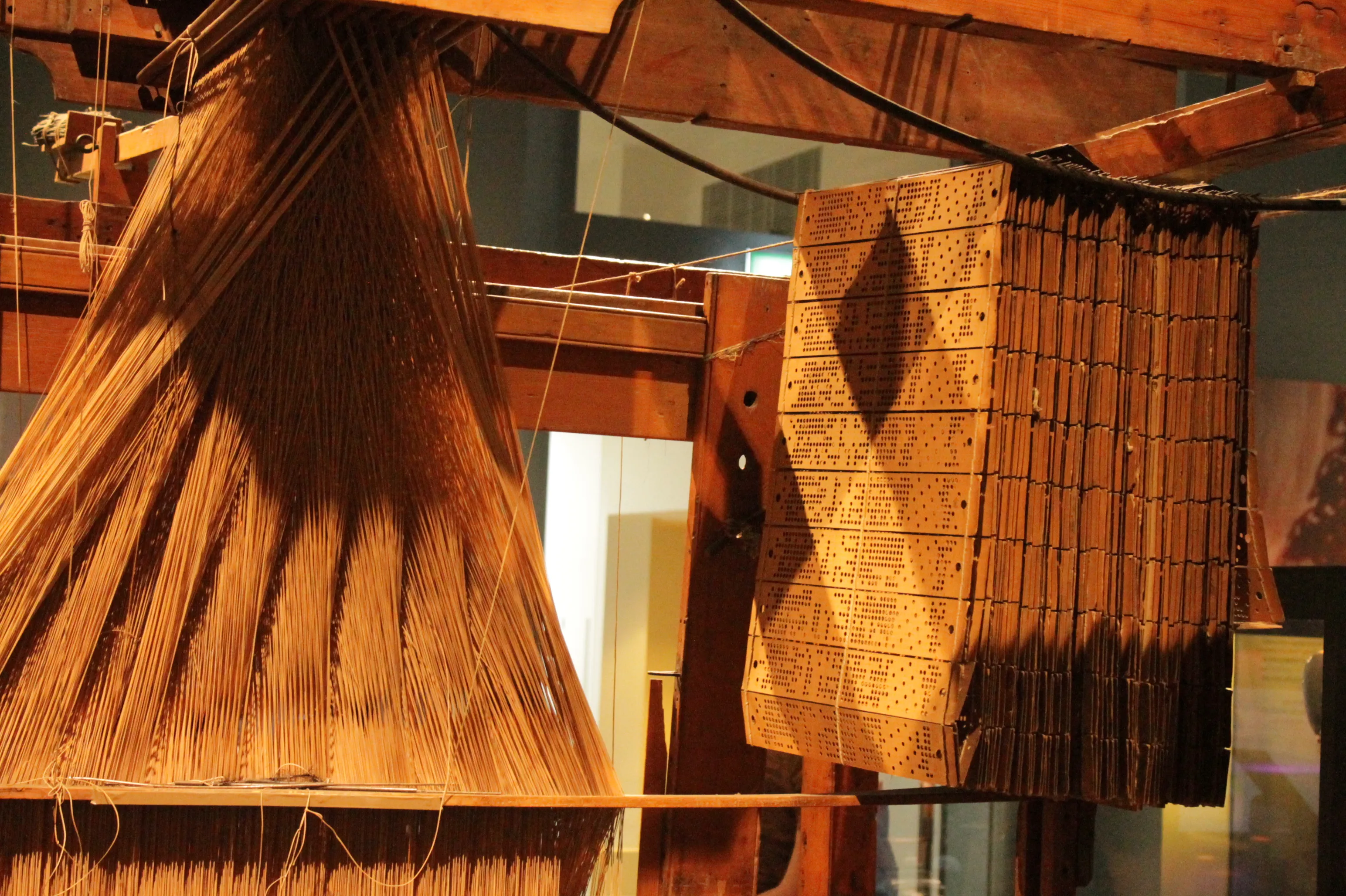 The punched-card chain of a Jacquard loom hanging beside its threads.